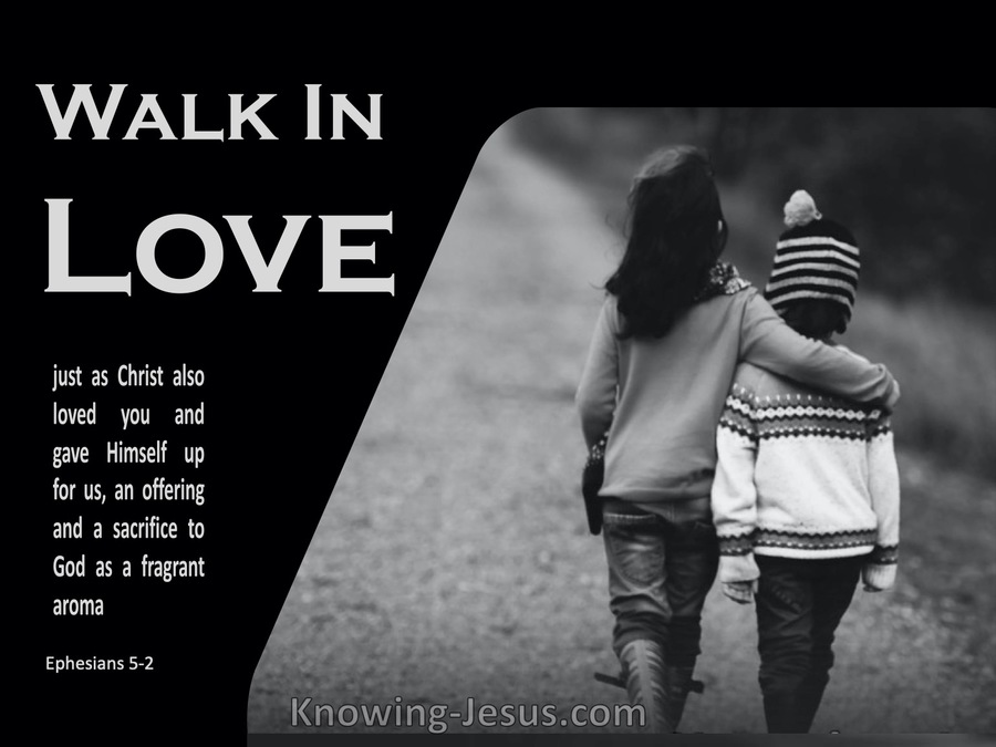 Ephesians 5:2 Walk In Love (gray)